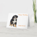 Search for bernese mountain dog birthday cards Animal