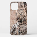 Search for huge iphone cases Animal