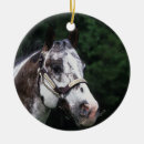 Search for appaloosa horse ornaments Headshot
