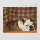 Search for sofa postcards Indoors