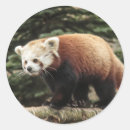 Search for red coat stickers Animal