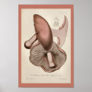 Search for purple mushrooms posters Vintage