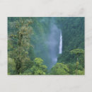 Recherche de schafer de kevin cartes postales Tropical
