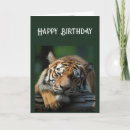 Search for seriously cards Cat