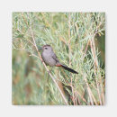 Recherche de ornithologie magnets Oiseau