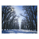 Recherche de banc parc posters Arbre