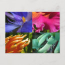 Recherche de beautiful cartes postales Photography