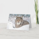 Search for fine art christmas cards Cats