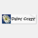 Search for daisy bumper stickers Floral