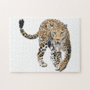 Search for big cat puzzles Leopard