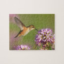 Recherche de colibris puzzles Violet