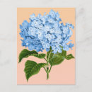 Recherche de hortensia cartes postales Fleurs
