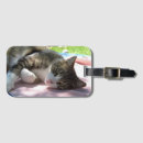 Search for paw travel accessories Animals