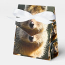 Recherche de marsupial ballotins Animal