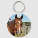 Recherche de aqha Quart