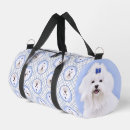 Search for maltese dog and bags White