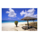Search for antigua art Tropical