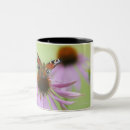 Search for nectar mugs Nature