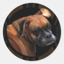 Search for boxer dog stickers Canine