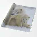 Search for cubs wrapping paper Wildlife