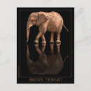 Recherche de éléphant photographie L'art des éléphants