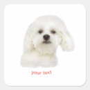 Search for maltese dog stickers White