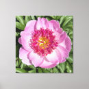Search for peony canvas prints Floral
