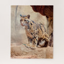 Search for leopard print puzzles Jungle