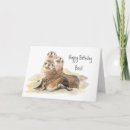Search for seal birthday cards Animals