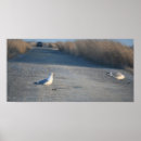 Recherche de promenade posters Photographie