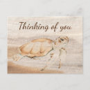 Search for sea turtle art postcards Cute