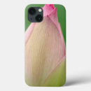 Search for freshness ipad cases Gallo images
