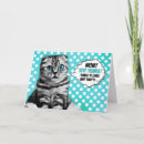 Search for cat comics cards Pets