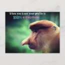 Search for primates postcards Animal