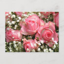 Search for message horizontal postcards Pink