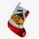 Search for kitten christmas stockings Puppy
