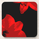 Recherche de amaryllis maison deco Fleur
