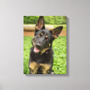 Recherche de berger allemand toiles Animal
