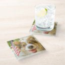 Recherche de canin bar Chien