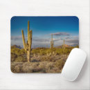 Search for superstition electronics Saguaro cactus