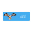 Search for fish hawk Raptor