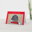 Search for funny pig christmas cards Xmas