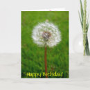 Search for dandelion birthday cards Wish