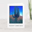 Search for desert christmas cards Succulent