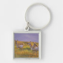 Search for antelopes keychains Wildlife