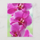 Recherche de orchidée cartes postales Botanique