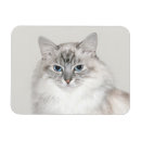 Recherche de bleu de point magnets Chat