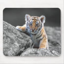 Search for cub mousepads Animals