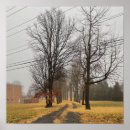 Search for fallen leaf Seasons