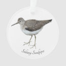 Search for sandpiper ornaments Nature